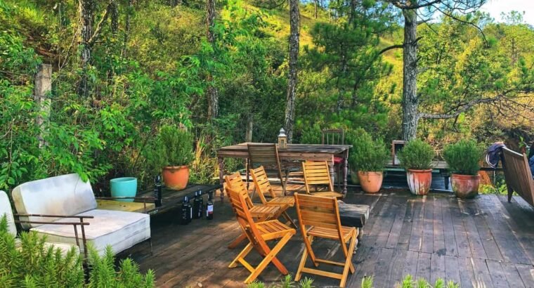 Top 6 quán café view rừng thông Đà Lạt đẹp nhất